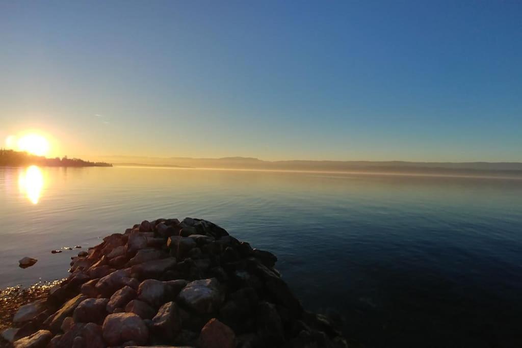 Lakefront. Appartement Pieds Dans L'Eau. View And Direct Access To The Lake. Anthy-sur-Leman エクステリア 写真