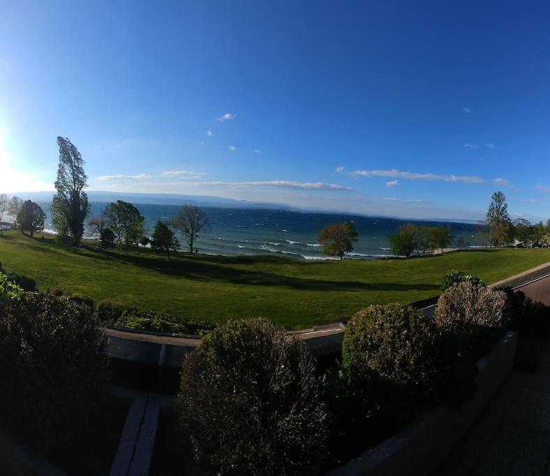 Lakefront. Appartement Pieds Dans L'Eau. View And Direct Access To The Lake. Anthy-sur-Leman エクステリア 写真