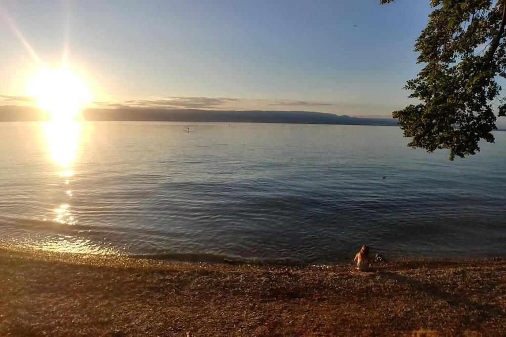 Lakefront. Appartement Pieds Dans L'Eau. View And Direct Access To The Lake. Anthy-sur-Leman エクステリア 写真