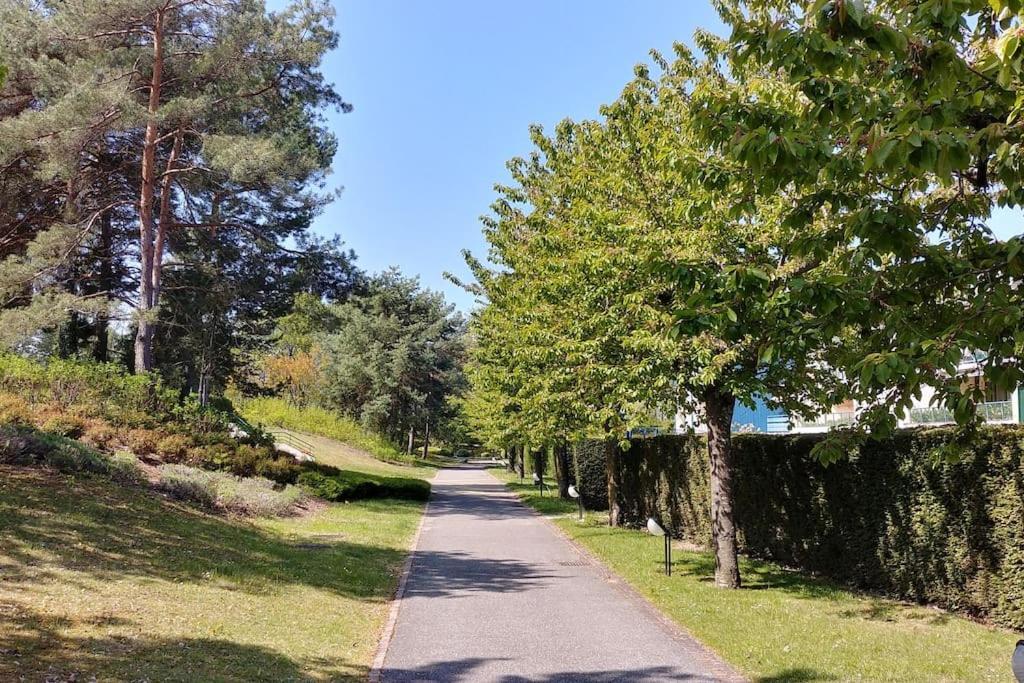 Lakefront. Appartement Pieds Dans L'Eau. View And Direct Access To The Lake. Anthy-sur-Leman エクステリア 写真