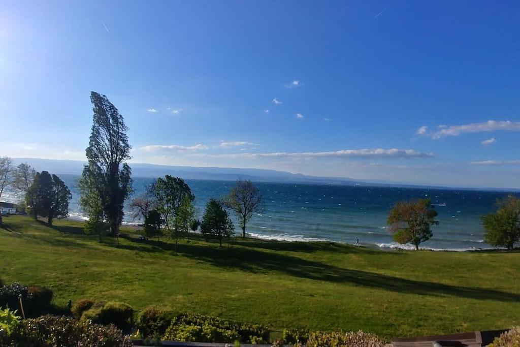 Lakefront. Appartement Pieds Dans L'Eau. View And Direct Access To The Lake. Anthy-sur-Leman エクステリア 写真