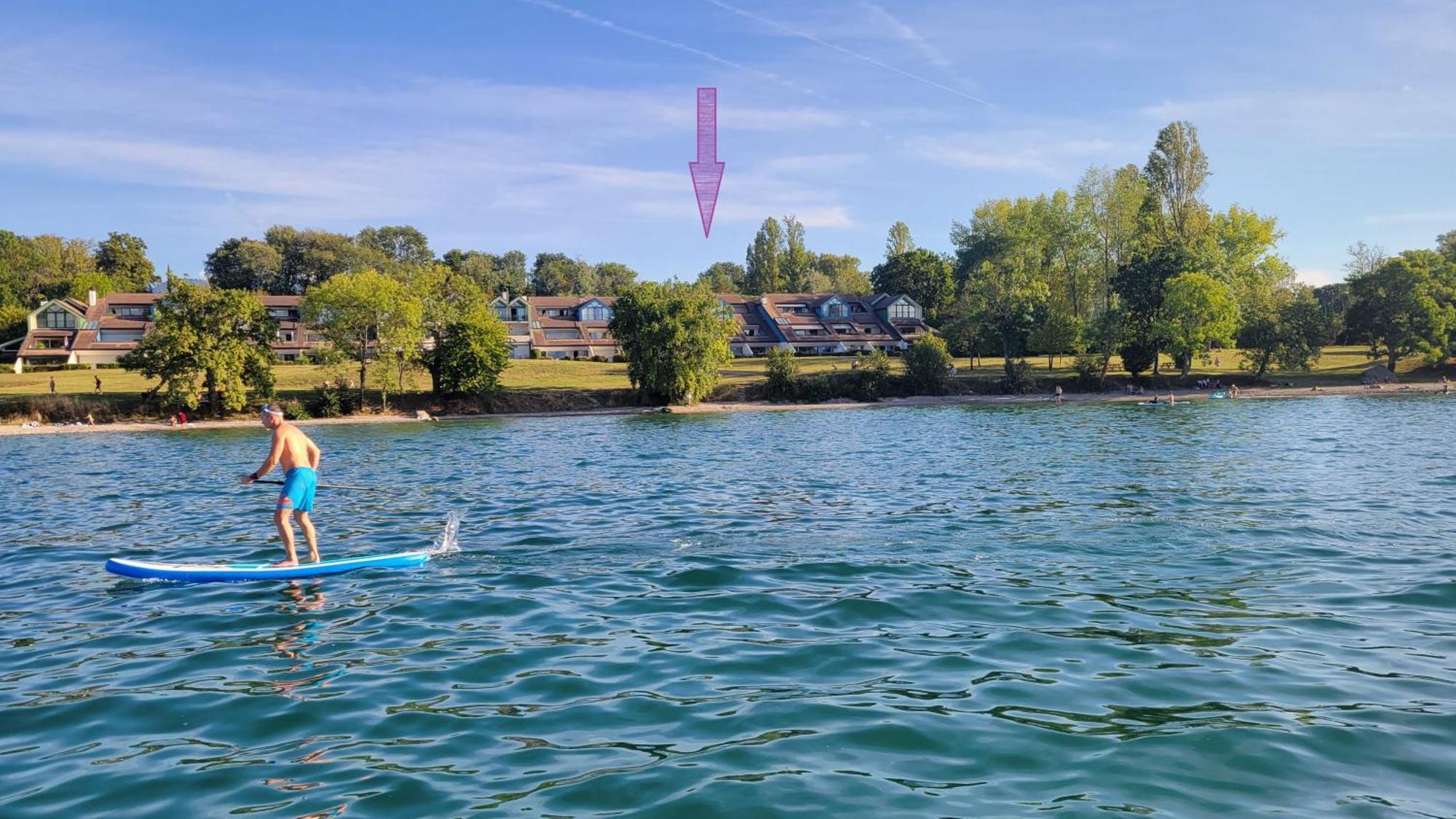 Lakefront. Appartement Pieds Dans L'Eau. View And Direct Access To The Lake. Anthy-sur-Leman エクステリア 写真